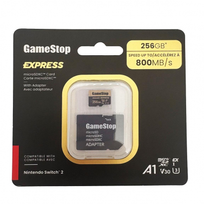 Micro SD - 256GB