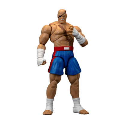 Sagat